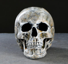 Ёрш с подставкой «Череп» - Фото 7