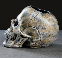 Ёрш с подставкой «Череп» - Фото 9