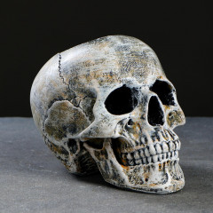 Ёрш с подставкой «Череп» - Фото 8