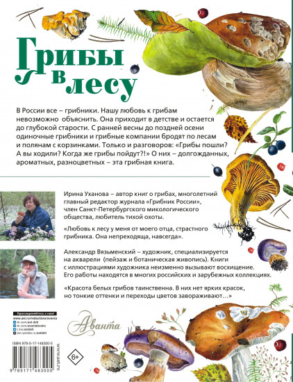 Грибы в лесу