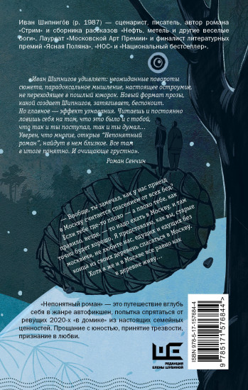 Непонятный роман