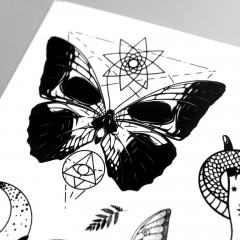 Татуировка на тело «Бабочки» - Фото 3