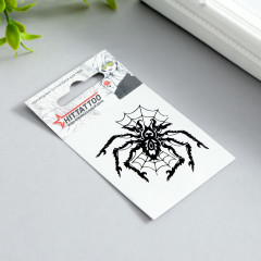 Татуировка на тело «Паук в паутине» - Фото 2