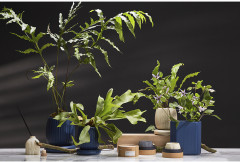 Диффузор ароматический «Nutmeg, Leather & Vanilla» - Фото 3