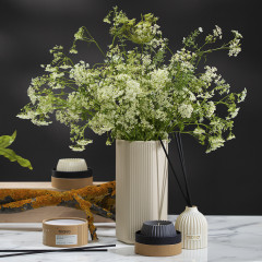 Диффузор ароматический «Nutmeg, Leather & Vanilla» - Фото 5