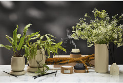 Диффузор ароматический «Vetiver & Black cypress» - Фото 4