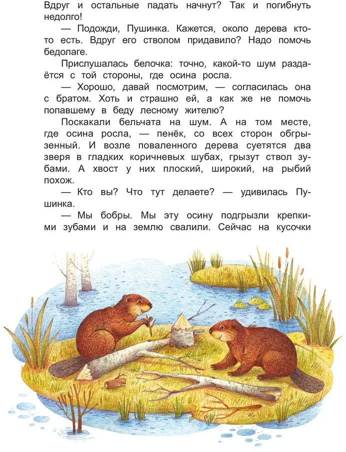 Лесные секреты | Фото 6