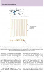 Основы психофармакологии. Теория и практика - Фото 2