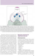 Основы психофармакологии. Теория и практика - Фото 5