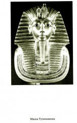 Гений места - Фото 8