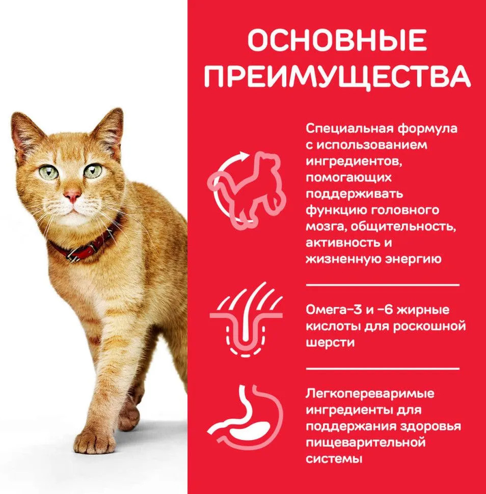 Корм для пожилых кошек с лососем | Hill's Science Plan | Фото 2