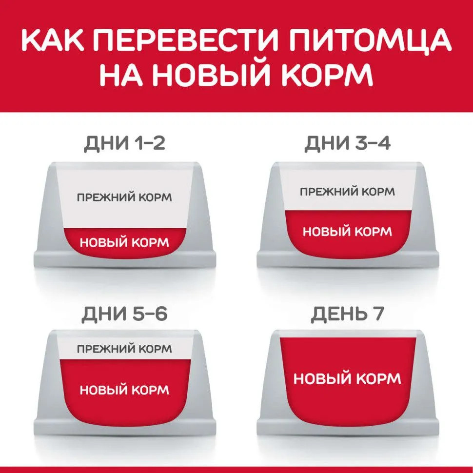 Корм для пожилых кошек с лососем | Hill's Science Plan | Фото 5