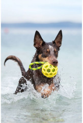 Мяч на веревке ажурный «Fetch tug» - Фото 2