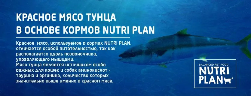 Корм для кошек «Tuna and salmon» | Nutri plan | Фото 1