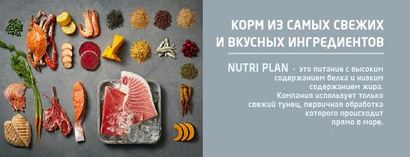 Корм для кошек «Tuna and salmon» | Nutri plan | Фото 2