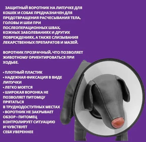 Воротник защитный на липучке