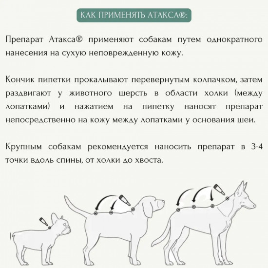 Капли для собак противопаразитарные «Селафорт»