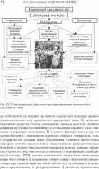 Антропоэкология - Фото 1