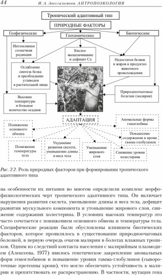 Антропоэкология