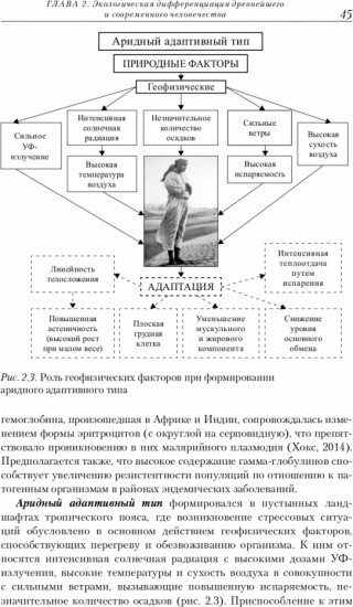 Антропоэкология
