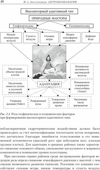 Антропоэкология