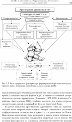 Антропоэкология - Фото 4