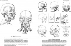 Рисование головы и рук - Фото 4