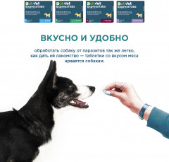 Таблетки от клещей, блох, вшей и гельминтов «ExpressTabs» - Фото 7