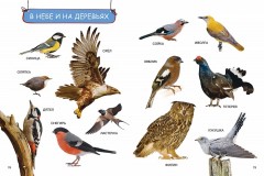 Моя первая книга. Энциклопедия малыша - Фото 1