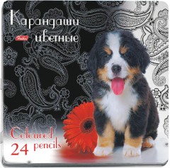 Карандаши цветные «Щенок», 24 цвета - Фото 2