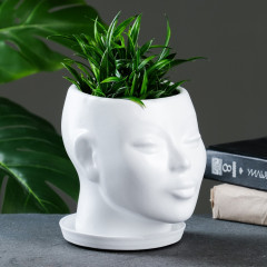 Горшок-органайзер «Голова» - Фото 1