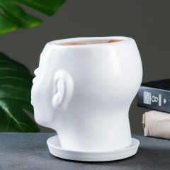 Горшок-органайзер «Голова» - Фото 3