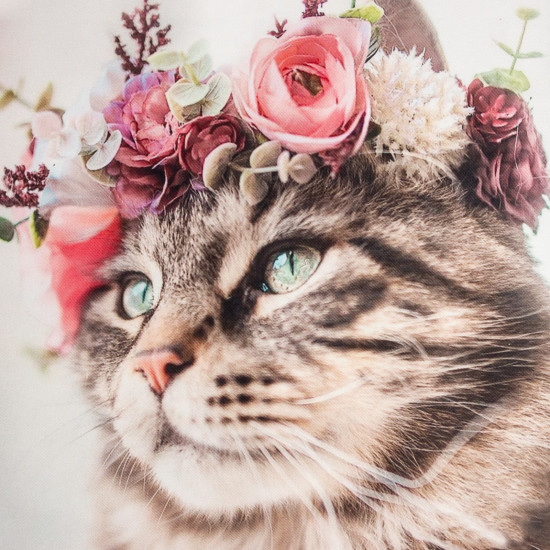 Набор подарочный для женщин «Flower cat»