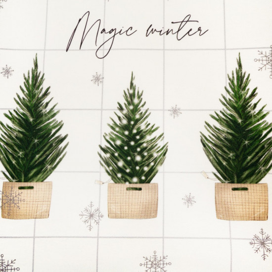 Набор подарочный «Magic winter»