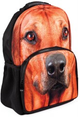 Рюкзак школьный «Ridge» - Фото 1