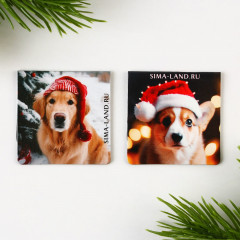 Набор закладок магнитных «Мечты сбываются» - Фото 3