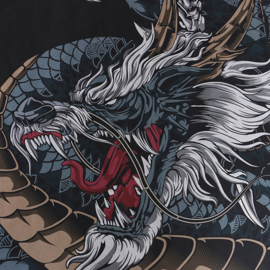 Комплект постельного белья «Dragon»