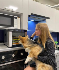 Сушилка для овощей и фруктов КТ-1911 - Фото 3