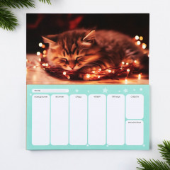 Планинг «С новым счастьем!» - Фото 2