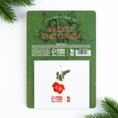 Набор подарочный «Новогодняя почта» - Фото 2