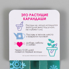 Набор карандашей растущих «Голубая ель. Сосна» - Фото 1