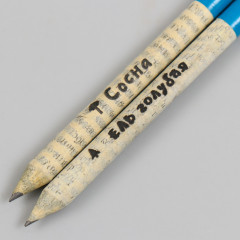 Набор карандашей растущих «Голубая ель. Сосна» - Фото 3