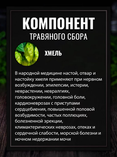 Хмеля соплодия
