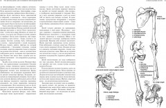 Рисование фигуры - Фото 13