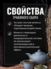 Мелиссы трава - Фото 1
