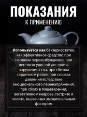 Мелиссы трава - Фото 2