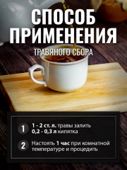 Мелиссы трава - Фото 4