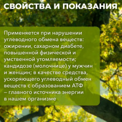 Галеги трава - Фото 1