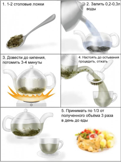 Хвоща полевого трава