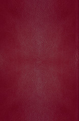 Хроники Нарнии. Начало истории - Фото 1